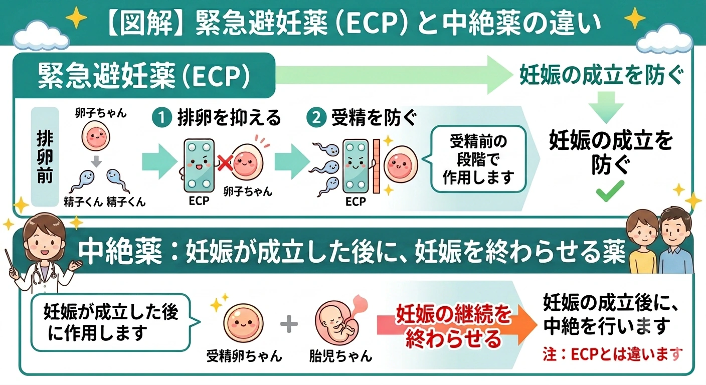 アフターピル（緊急避妊薬）は妊娠が成立する前に予防する薬、中絶薬は妊娠したあとに使う薬で、まったく別のものであることを示す図解。